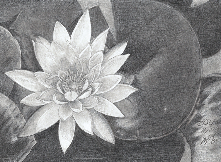 김재윤-꽃으로 핌.jpg